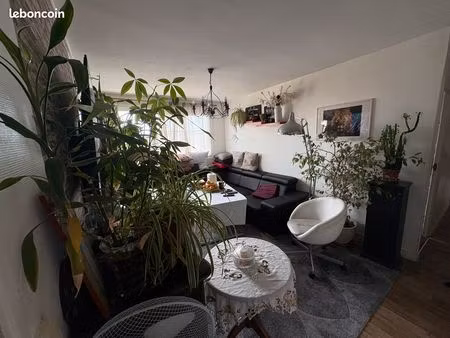 appartement f3 54m3