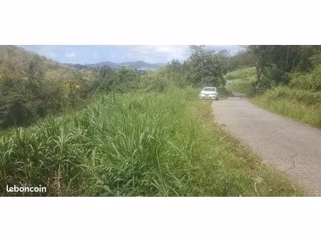 joli terrain à massy duharoc rivière salee
