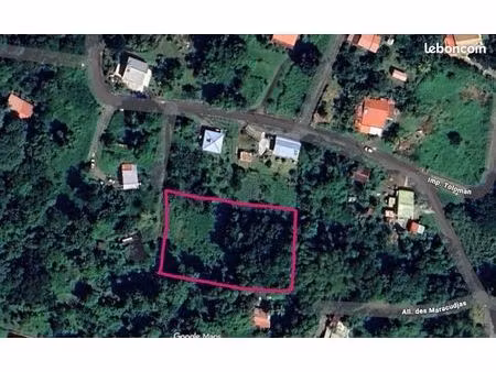 terrain 2 990 m² ducos