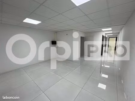 bureau 80 m²
