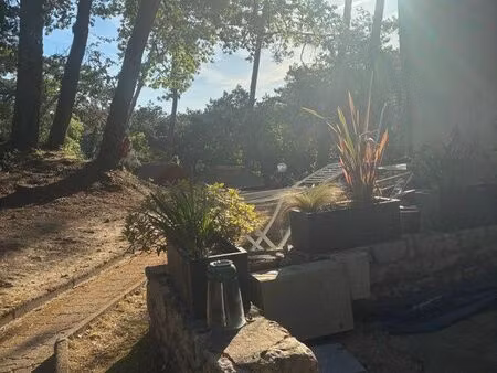 pied à terre dans la forêt de suzac