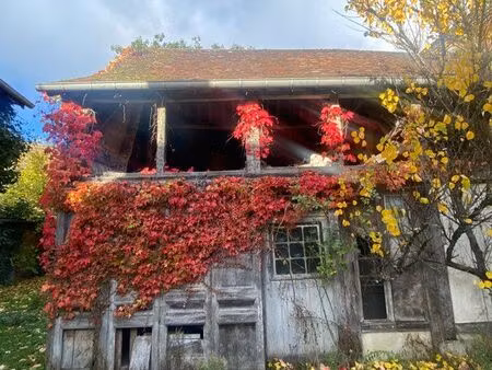maison de campagne à restaurer à nancay