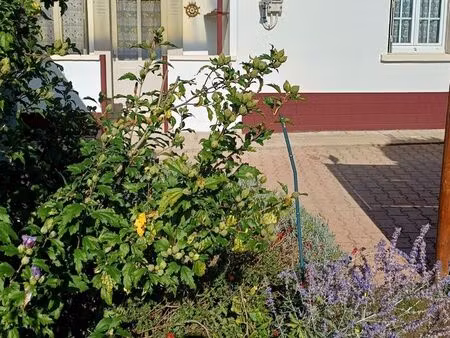maison de village