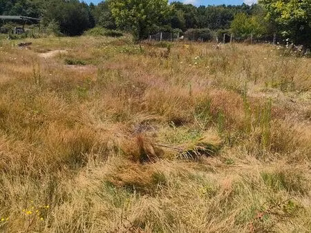 terrain bussac-forêt-1135m²- 38 000 euros