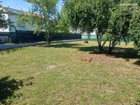 terrain constructible