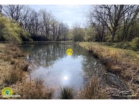 étangs en pleine nature