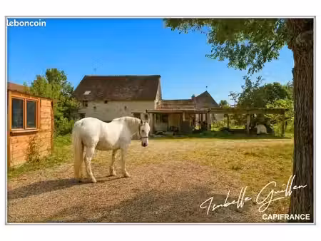 ferme 4 pièces 249 m²