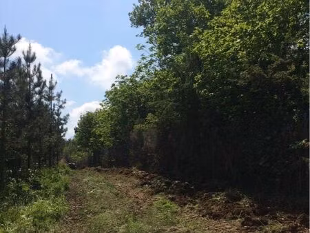 recherche parcelles de bois