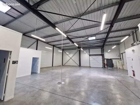 local 310 m² ifs