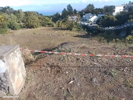 terrain
