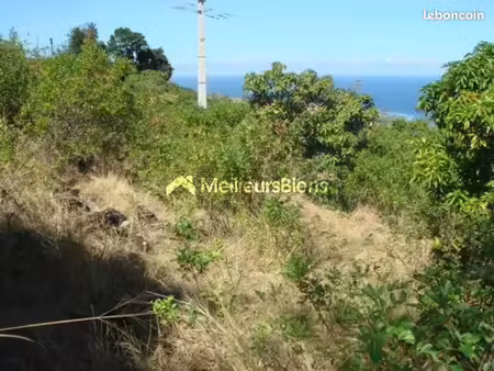 terrain 3 649 m² saint leu