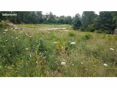 terrain 7000 m2