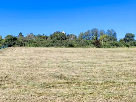 terrain constructible