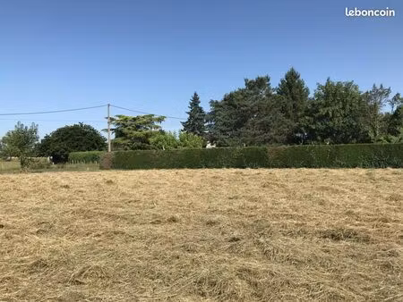 terrain 1 019 m² cours de pile