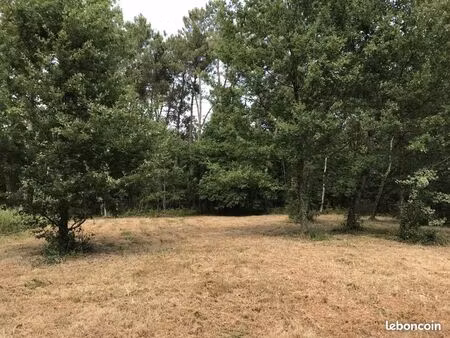 terrain 878 m² prigonrieux