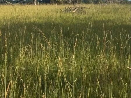 terrain à bâtir