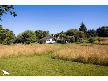 vente maison 9 pièces 248 m² sainte-marie-de-gosse (40390)