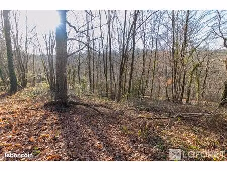 terrain 1 338 m² coulounieix chamiers