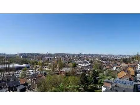 appartement 1 chambre avec deux balcons offrant une vue impr