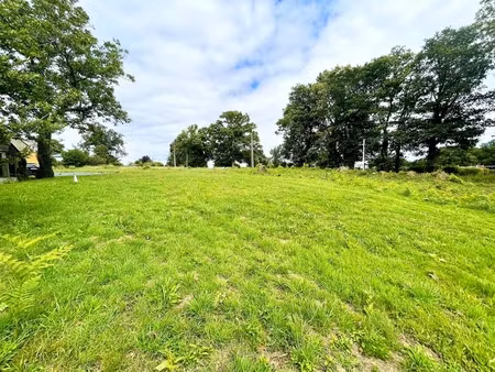 rare à la vente : superbe parcelle de 935 m² à pluméliau (56)