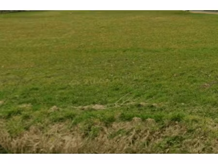 vente terrain à saffré (44390) : à vendre / saffré