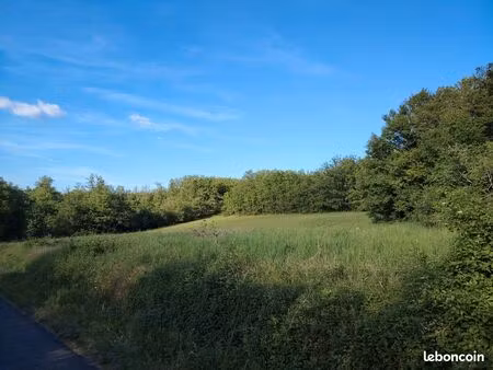 terrain agricole 3 5ha bois et prairies