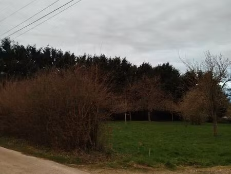 vends terrain constructible de 2000 m2