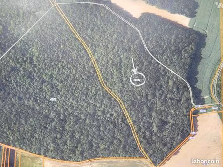 bien agricole 76767 m² escorpain