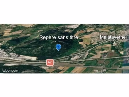 espace boisé