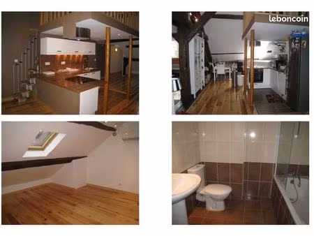 boucle : appartement tres lumineux f3 style loft de 62 m2 (109 m² au sol)