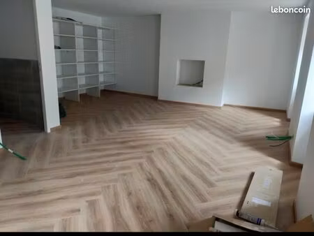 appartement 50 m2  refait entièrement 2020