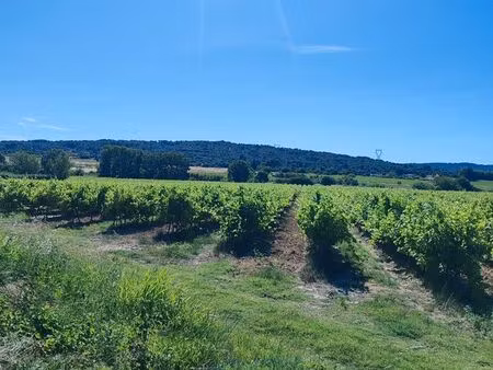 parcelles agricoles