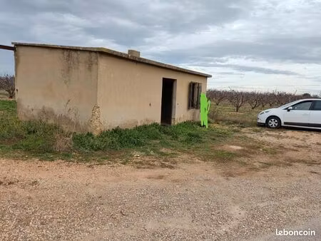 mazet avec petit terrain