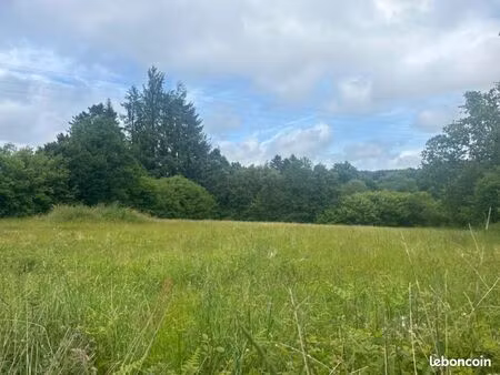 terrain 3470 m² berrien