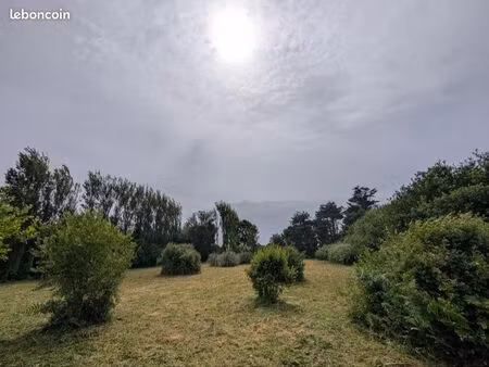 terrain agricole