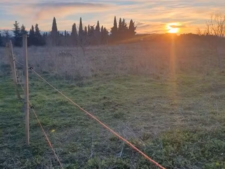 terrain agricole