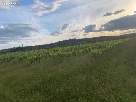 terrain agricole