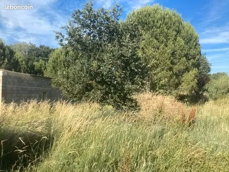 terrain agricole