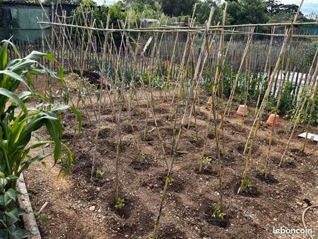 cherche terrain agricole