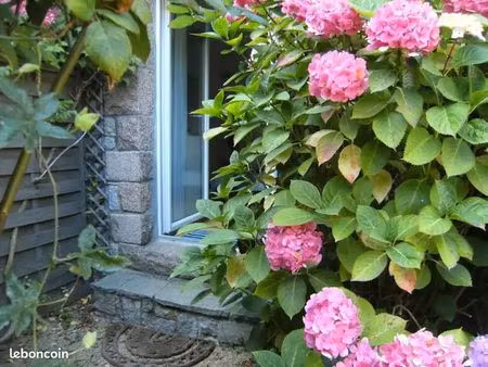 studio rez de jardin  meublé  non fumeur  lannion  à louer pour l'année universitaire