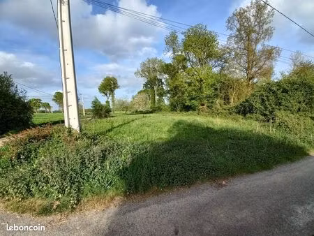 terrain