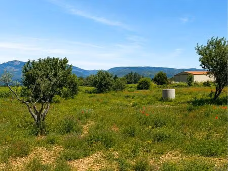 terrain agricole / loisir 5725 m² avec puits et oliviers – saint-andré-de-sangonis