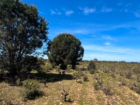 terrain agricole et de loisirs de 6 550 m² – sauvian (34410)