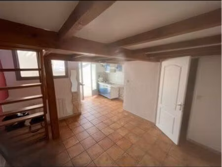 studio mezzanine avec terrasse sur les toits