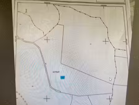 forêt