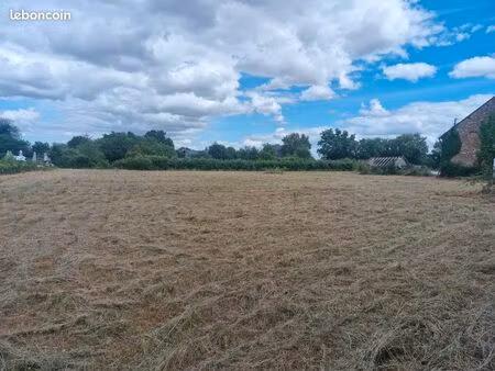 terrain constructible