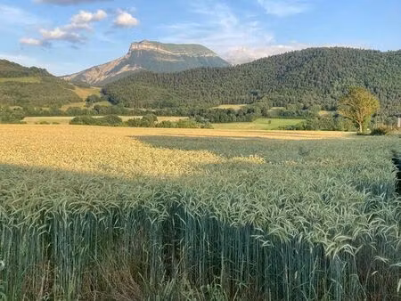 terrain constructible st jean d'hérans (trièves)