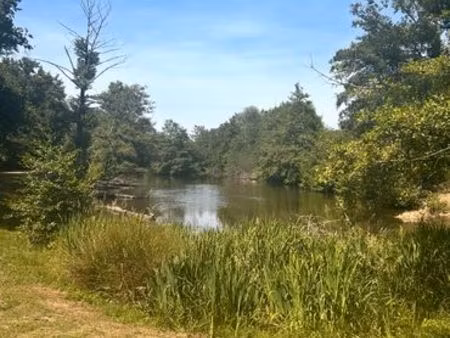 etang à vendre