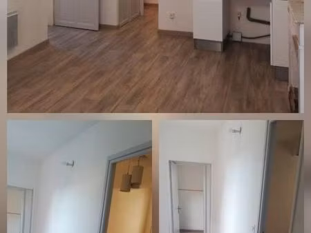 appartement a louer 55m2