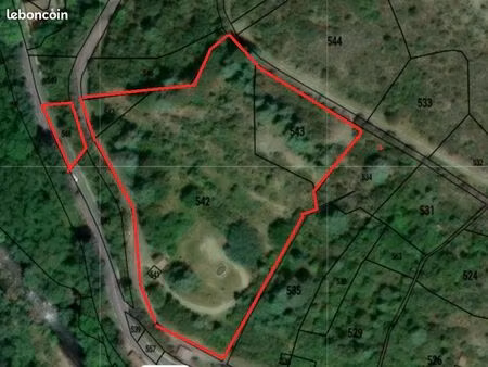 terrain de 11435 m²